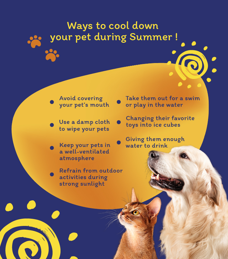 Ways to cool down your pet during Summer!