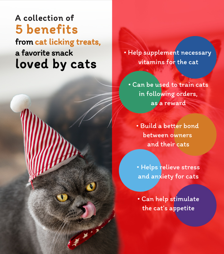 Benefits to Cats